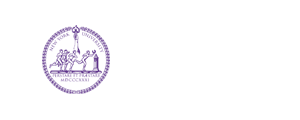 紐約大學